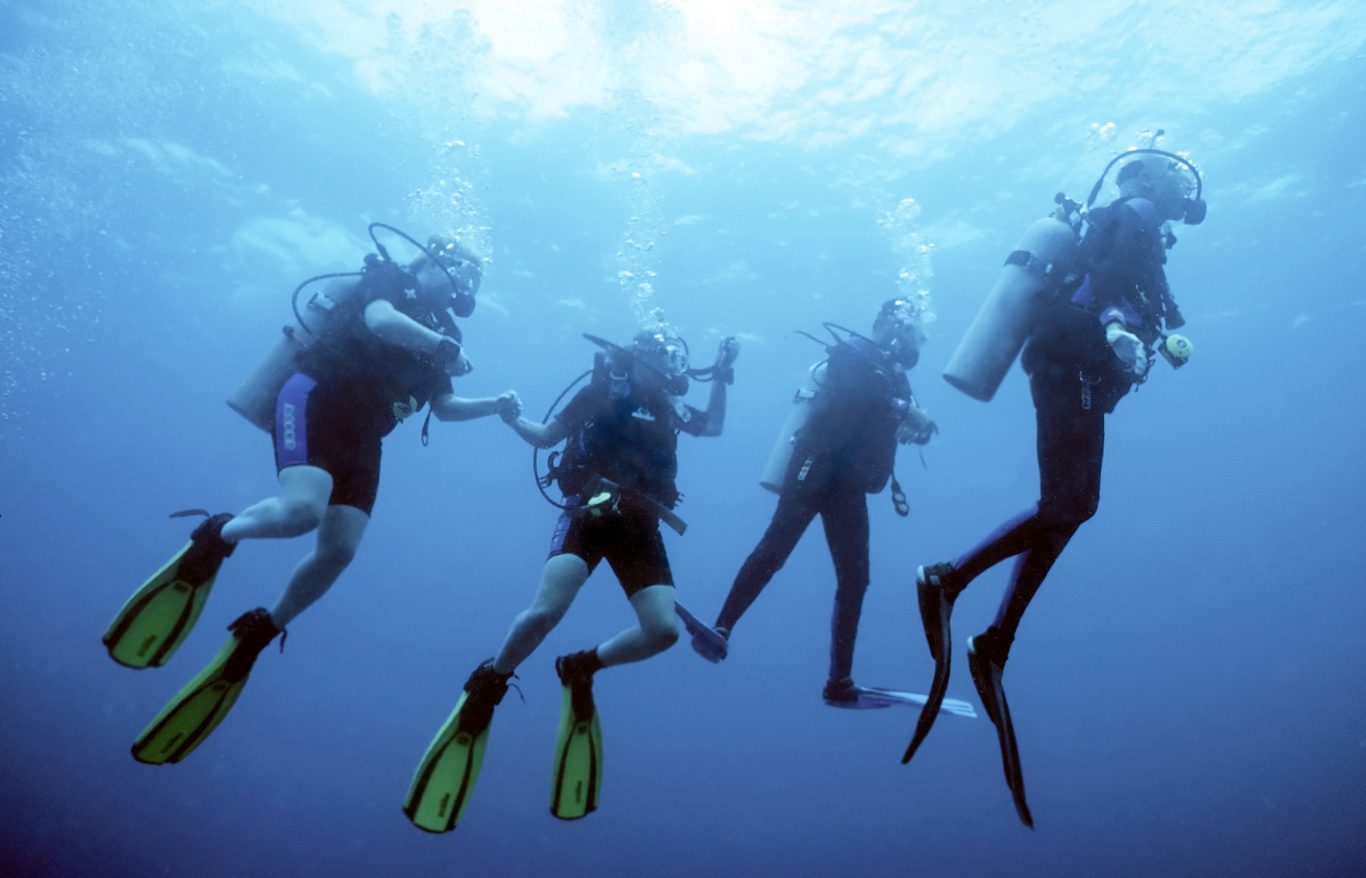 Diving schools and diving excursions in Cargèse