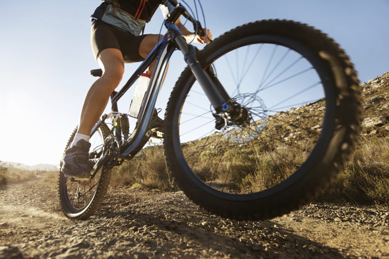 Bicycle rental