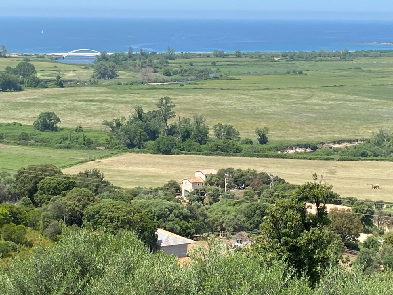 Liamone plain