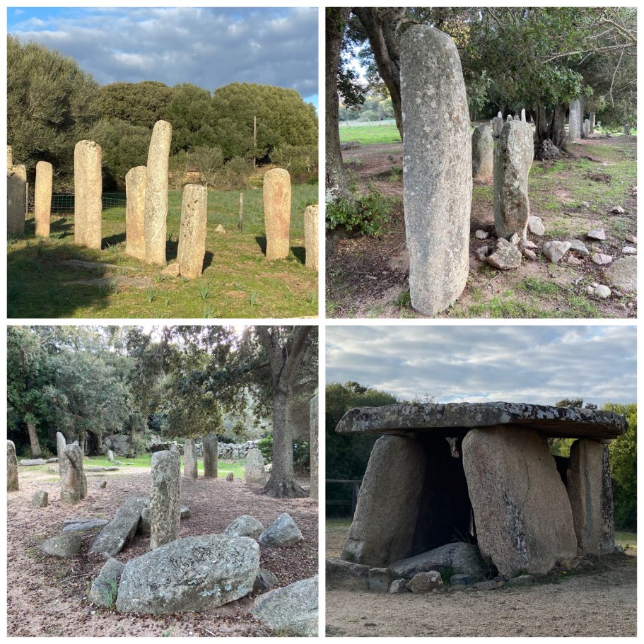 Visit archaeological excavations